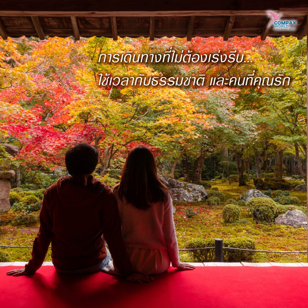 เที่ยวญี่ปุ่น ทัวร์ญี่ปุ่น ทัวร์ญี่ปุ่นพรีเมี่ยม โปรแกรมทัวร์ญี่ปุ่น